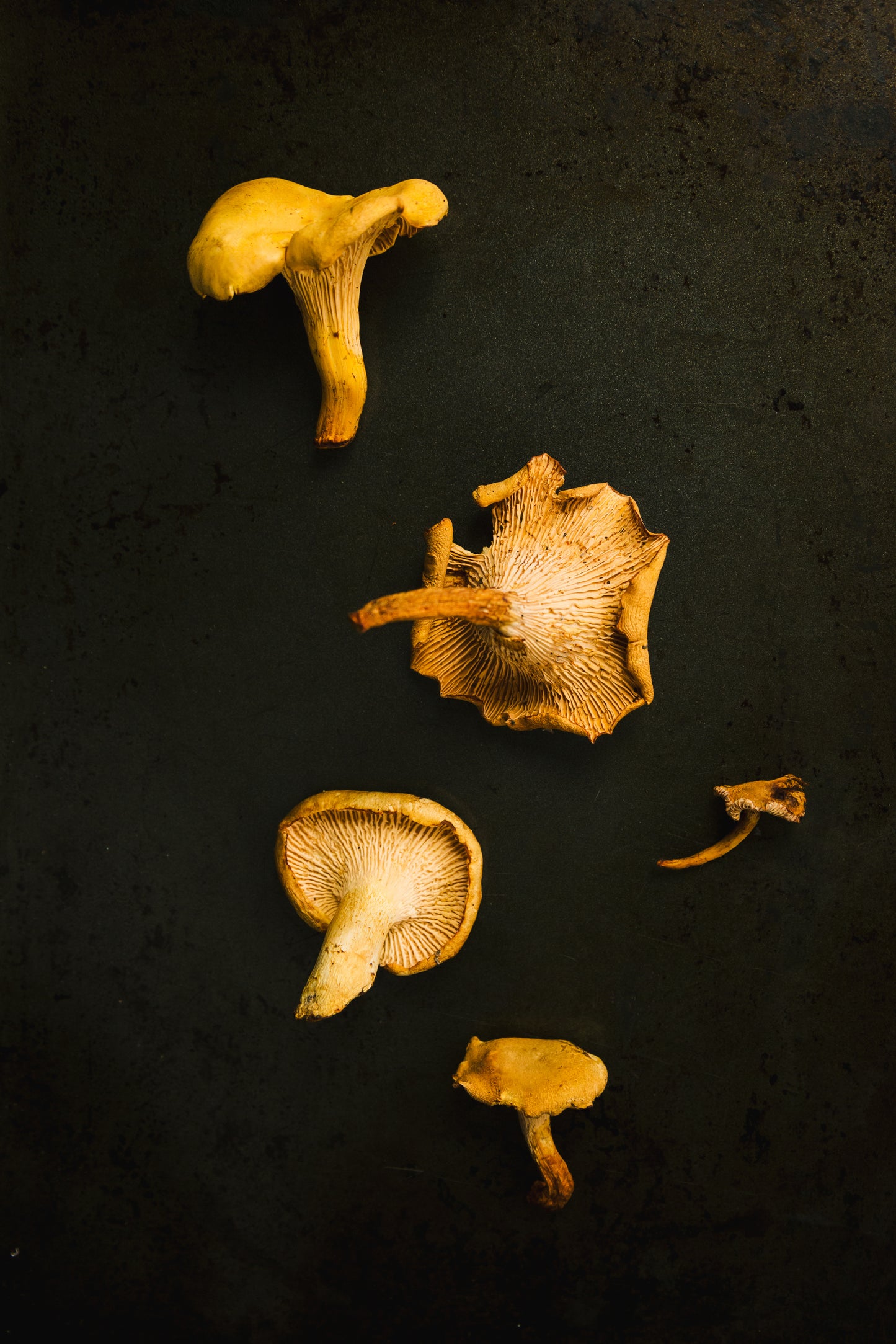 Shiitake Mushrooms